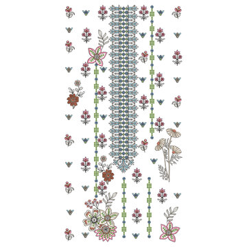 Isolated asian indian embroidery neckline and lace border design , daman design and all over shirt front design women wear for digital and textile print on fabric.