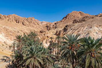 Chebika Oasis in Tunisia