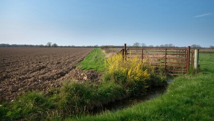 Obraz premium Springtime scene showing a ploughed field, iron gate, and a stream with blooming weeds, seasonal farming