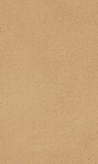 Paper texture &ndash; brown seamless craft cardboard background. Flat sheet of recycled beige kraft card.