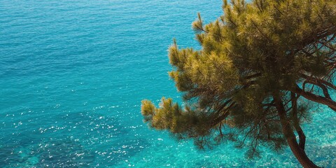 Coastal scene featuring pine trees and ocean in a Mediterranean setting, ideal for UI backdrop or editorial header