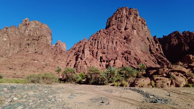Al-Disah, Saudi Arabia: Panoramic footage of the stunning wadi Al-Disah canyon famous for its red rock and palm tree near Tabuk in the desert of Saudi Arabia. 
