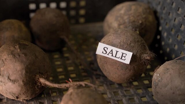 A sticker with the word SALE is stuck on the leftover red beets in the basement.