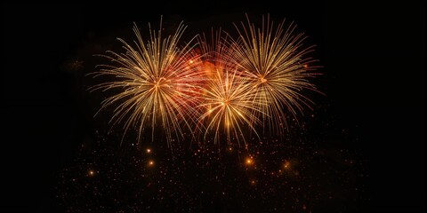 Fototapeta premium Nighttime fireworks display against a dark sky during a public celebration, highlighting holiday traditions