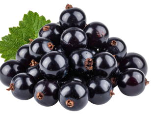 Pile of Blackcurrant Berries, Rich Purple Color, Isolated PNG