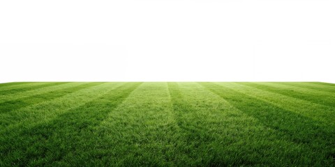 Green grass soccer pitch presented as a layout background for editorial or UI purposes, highlighting sports field design, World Sports Day