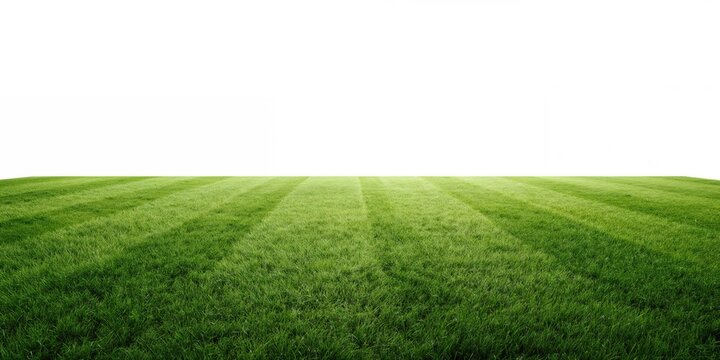 Green grass soccer pitch presented as a layout background for editorial or UI purposes, highlighting sports field design, World Sports Day