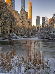 Central Park in winter  after snow storm