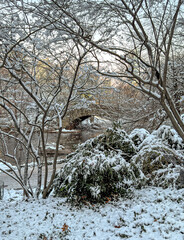 Gapstow Bridge in Central Park, after snow storm