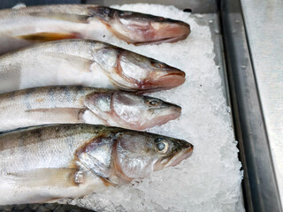 Fresh fish on ice, close up shot. Seafood market display for healthy eating and grocery shopping concept.