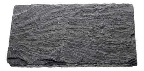 Thin, layered shale piece in dark gray hues.