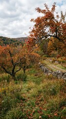 Naklejka premium Autumn Landscape with Colorful Trees and Scenic Mountain View