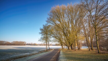 Fototapeta premium Missouri River park trees leaves, urban green space during fall
