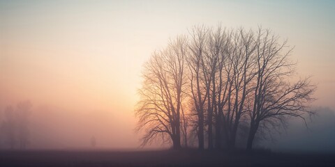 Fototapeta premium Winter scene with leafless trees highlighting seasonal transition for background or design use
