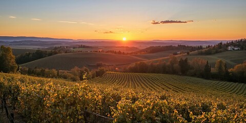 Naklejka premium Tuscan sunset over Panzano's Chianti landscape with vineyards and olive groves during autumn, seasonal change