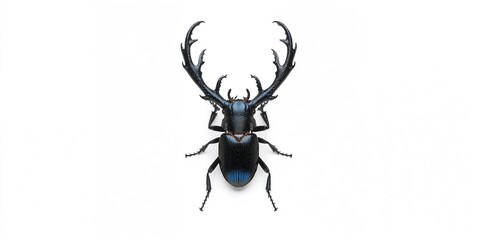 Obraz premium Macro shot of a black beetle against a white backdrop, used for biological research and insect studies
