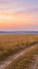 Tranquil Sunset Over Serene Grassland with Gentle Hues of Dusk