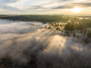 Aerial view of ethereal fog blankets the landscape, partially obscuring the dense forests, with sunlight piercing through the misty veil, Olympia, Washington, United States.