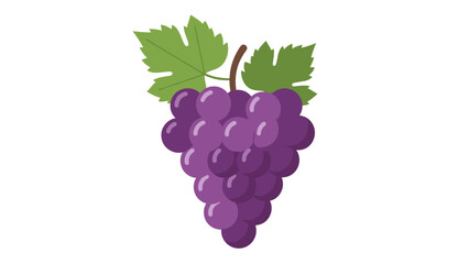 Fototapeta premium Bunch of Purple Grapes with Leaves.