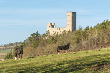 Burg Ehrenstein im Ilm-Kreis in Th&uuml;ringen
