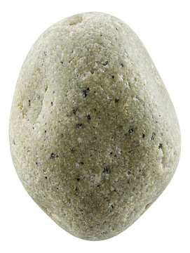 Fine-grained phonolite with feldspathoid minerals and a subtle greenish tint.