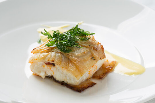 Grilled whitefish fillet serving elegant gourmet meal