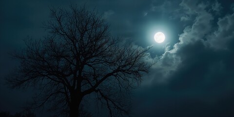 Night scene of a bare tree against a cloudy winter sky with a bright moon, emphasizing seasonal change, Winter Solstice