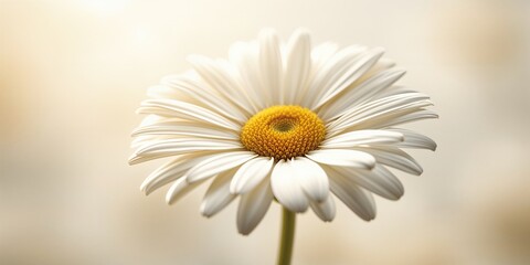 Detailed view of flower's reproductive organs focusing on pollination process, botany research, World Plant Day