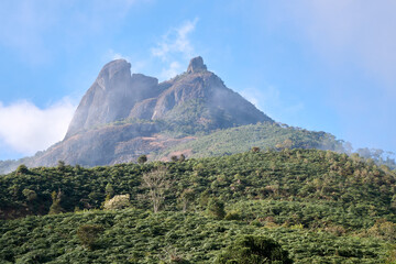 Pedra Selada