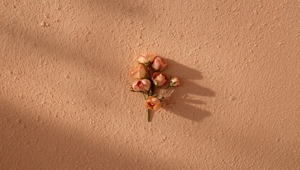 Withered small roses set against a soft peach fuzz surface, conveying sad love themes, aging flowers, nostalgic feelings, romantic reflection