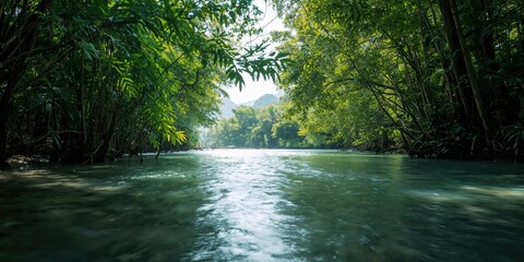 Obraz premium River water flowing through lush green leaves in a tropical forest, natural water movement