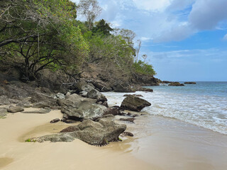 Untouched Shoreline with Rainforest Vegetation, Volcanic Rocks and Gentle Sea Waves