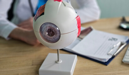 Model of human eye used for educational purposes during a medical demonstration in a classroom