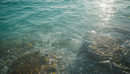 Fototapeta premium Sea foam on the water surface over rocks and seaweed during low tide, illustrating natural shoreline changes