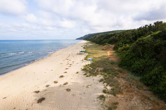 Aerial view of the sandy beach meeting the turquoise sea, bordered by lush green forests under a cloudy sky, Vaya Beach, Burgas, Bulgaria.