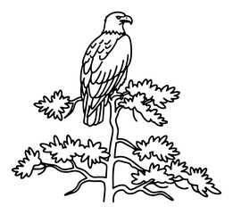 Fototapeta premium Bald eagle perched on pine tree branch black and white line art vector illustration