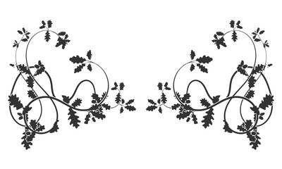 A spectacular ornamental weaving of tree branches.