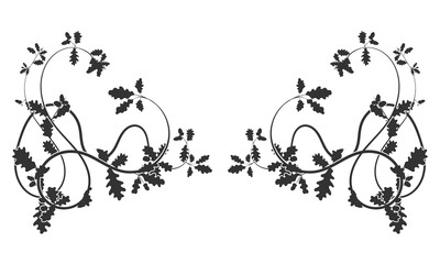 A spectacular ornamental weaving of tree branches.