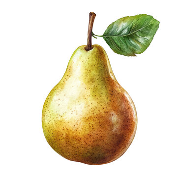 Vibrant pear with green leaf on black background