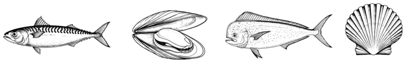 Hand drawn sea life illustrations featuring mackerel mahi mahi and seashells