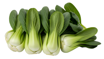 Fresh bok choy vegetables isolated on transparent background
