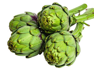 Fototapeta premium Close-up of four fresh artichokes, bright green color, showing spiky, layered leaves