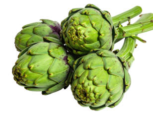 Close-up of four fresh artichokes, bright green color, showing spiky, layered leaves