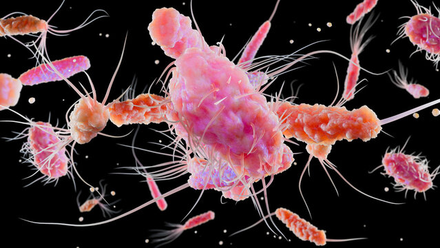 Bacteria with Different Flagella Types, Monotrichous, Amphitrichous, Lophotrichous, Peritrichous, Medical Microbiology animation, Motile Bacterial Cells, Rod-Shaped and Spiral Bacteria, Microscopic An