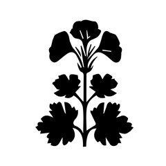 Geranium black and white rose