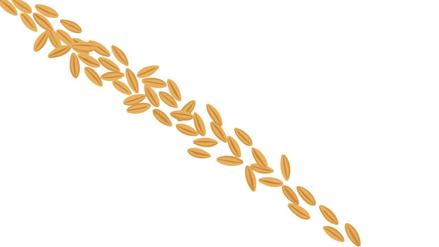 Dynamic diagonal trail of scattered oat grains, illustrating natural cereal, healthy food ingredients, and a flowing design element for packaging and culinary themes.