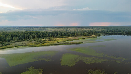 Aerial view of a tranquil landscape showcasing a vast lake bordered by lush greenery and trees under a cloudy sky, reflecting natures beauty and serenity. Ideal for nature-themed projects.
