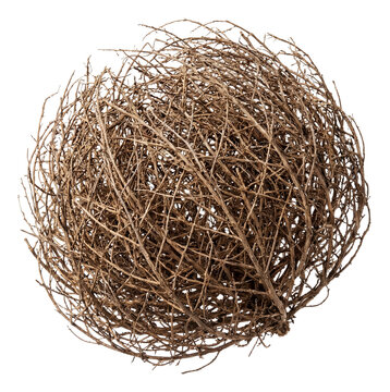 Round, branched tumbleweed with a dry, brownish look.