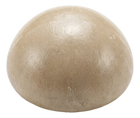 Dome-shaped microfossil of a methanogen with a smooth, curved surface.