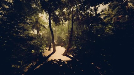 Sundrenched boardwalk winding through woodland, inviting exploration toward glowing clearing, wooden planks highlighted by light, surrounding ferns and canopy,